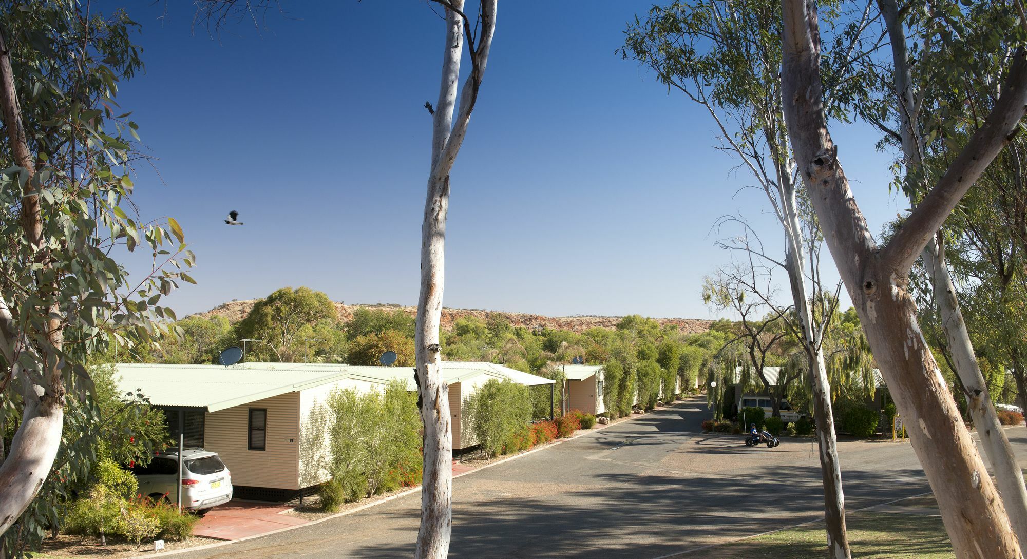 Discovery Parks - Alice Springs Exterior photo